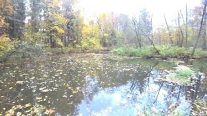 Ловля щуки на удочку на живца! Щука на поплавок в октябре! Бывает и такое!