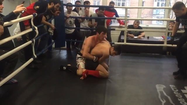 Chehov(13) смотреть онлайн