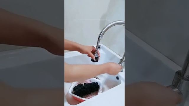 Аэратор поворотный с гибким шлангом, принцип работы смотреть онлайн