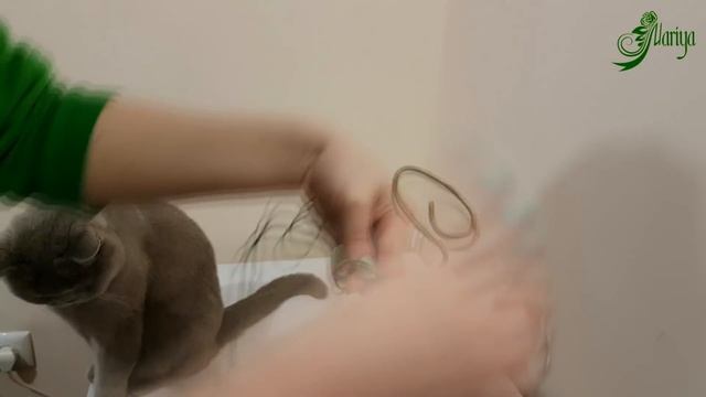 МК - сборка топиария канзаши от и до | новинка kanzashi | Mariya смотреть онлайн