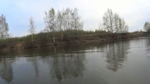 На реке ловили рыбу. ставили сеть на карася