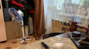 Алиса! Включи вентилятор!