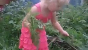 Маленькая девочка тянет морковку... (а далее =)