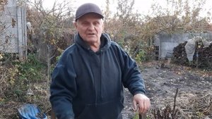 Как укрыть виноград на зиму, учитывая особенности виноградного куста