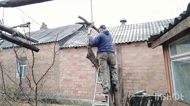 гараж 61 глухих сруб деревьями. смотреть онлайн