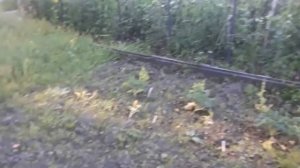 Жизнь в Америке.Alaska. Парк и Огород.США.  Аляска . Анкоридж.