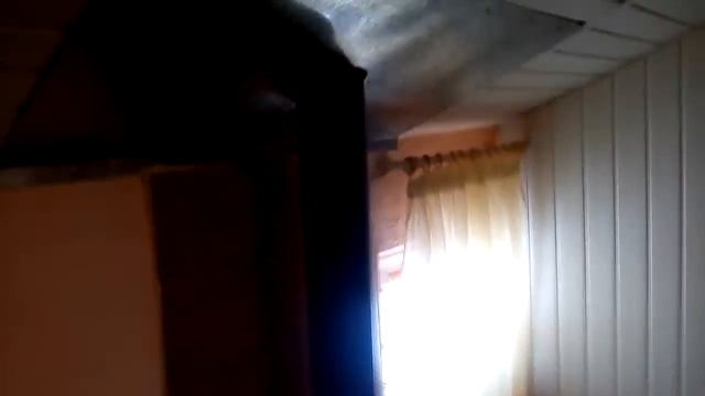 Koza K7 Kratki смотреть онлайн