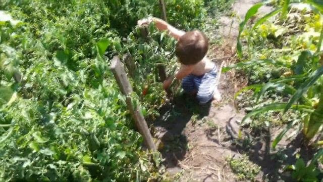 ВЛОГ на даче Запасы На Зиму 2017 смотреть онлайн