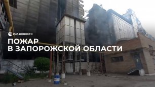 Пожар в Запорожской области
