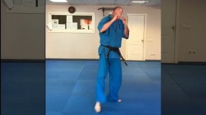 Базовая техника КУДО  двухударные комбинации ногами