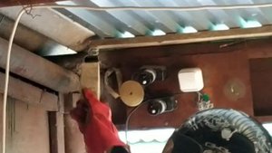 Борьба с осами в гараже