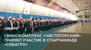 Свинокомплекс "Чистогорский" принял участие в спартакиаде "Сибагро"