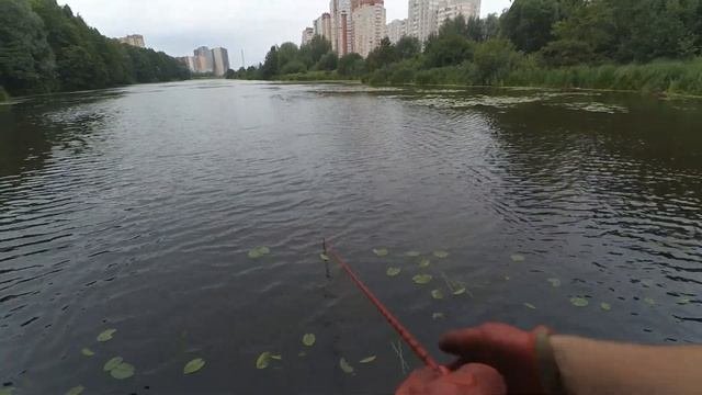НЕ ЧЕГО СЕБЕ!!! МОБИЛЬНЫЙ ТЕЛЕФОН на ПОИСКОВЫЙ МАГНИТ!!!