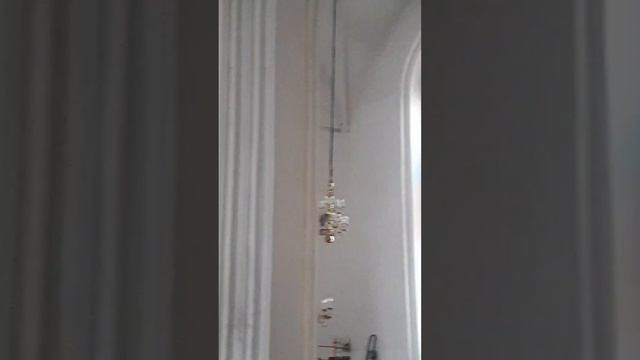 Самый большой орган смотреть онлайн