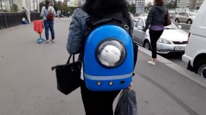 ??Несёт меня лиса,за тёмные леса.Poi a Roma, Italia!!!
