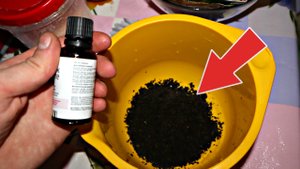 Как приготовить недорого уловистую прикормку на карпа?