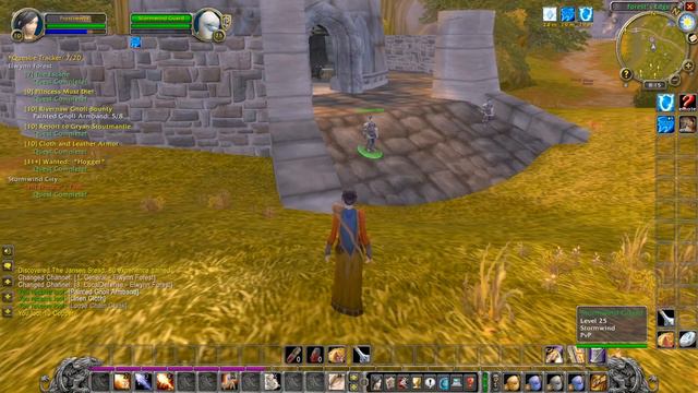 WoW Classic Mage Levelling Gameplay Alliance EP8 смотреть онлайн