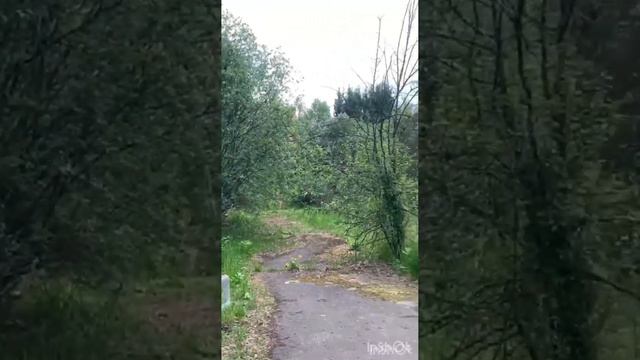 Заброшенный пионерский лагерь «Сказка» в Подмосковье