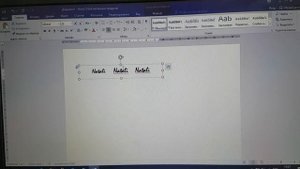 Как отобразить текст в Word