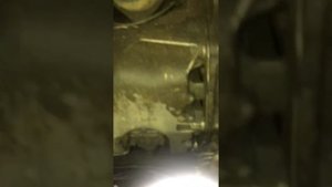 VW Sharan заводится под настроение, одна из причин!