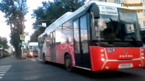 Автобусы перми