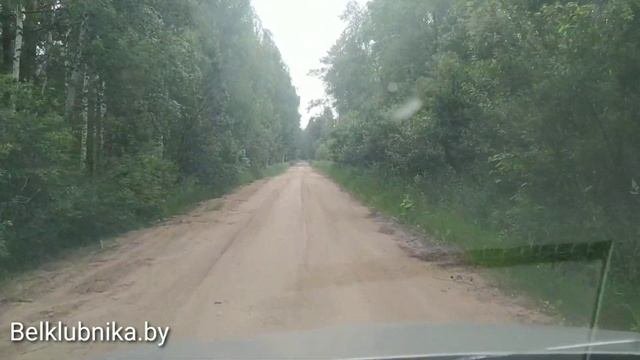 Торф для рассады. Торфодобыча. Belklubnika.by