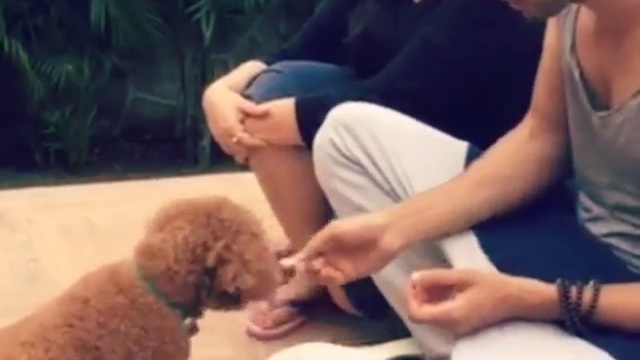 Так мило смотреть онлайн