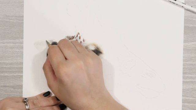 How To Draw a Giraffe with Colored Pencil смотреть онлайн