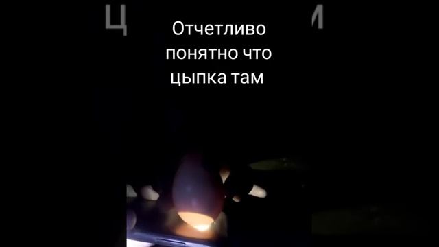 Аваскоп. Аваскопируем яйцо за считаные минуты. Быстро и просто, без хлопот и затрат .29 апреля 2020