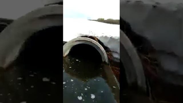 Любимый город Ерейментау смотреть онлайн