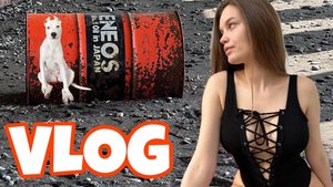 VLOG | ЗАВЕЛИ АМСТАФФА | ЗАБЛОКИРОВАЛИ СЧЕТА | ФЕСТИВАЛЬ ВИНА | ОБЗОР CHERY TIGGO 4 PRO | ВЛОГ