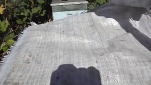 как можно обновлять гнездовые рамки в семье пчел