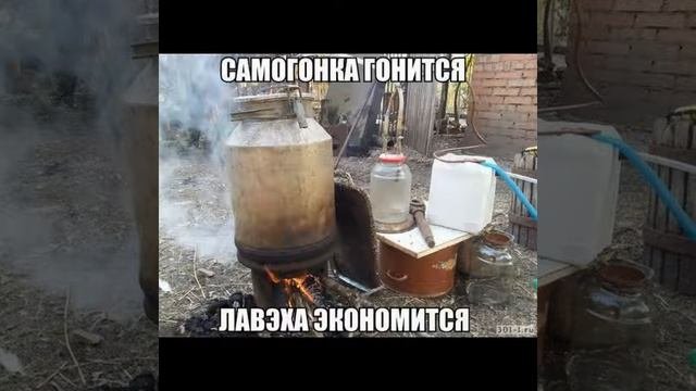 ВЕСЁЛЫЕ КАРТИНКИ С ПРИКОЛЬНЫМИ НАДПИСЯМИ