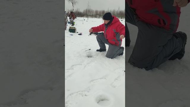 Утро Парус Север АКТИВНЫЙ КЛЕВ!!! смотреть онлайн