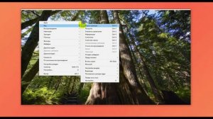 Работа с программой Media Player Classic