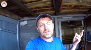 Мой рецепт кормления свиней, поросят для получения отличного результата или чем  кормлю на своем ЛП