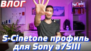 S-CINETONE ПРОФИЛЬ ДЛЯ SONY a7SIII / ПРОШИВКА v2.00 FIRMWARE SONY a7s3 / ЕЖЕДНЕВНЫЙ ВЛОГ DAILY VLOG