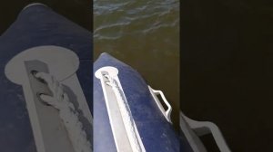 Качество лодки Солар 450 после двух лет.