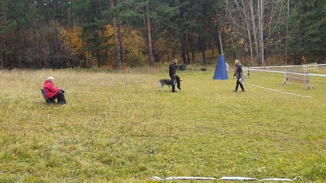 СЕДОЙ УРАЛ ЮЛИЙ ЦЕЗАРЬ ПРК Рядовость МОНО Екб 6.10.2019