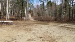 Arctic Cat Wild Cat 1000 HO