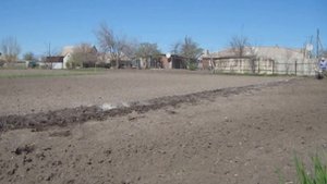 Мой мотоблок и выполнение им работ