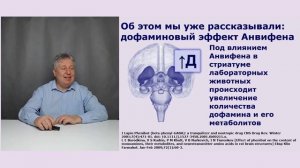 Аминофенилмасляная кислота за рубежом. Существует ли проблема