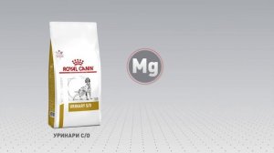 Сухой корм ROYAL CANIN URINARY S/O LP18 для взрослых собак при мочекаменной болезни в Magizoo.ru