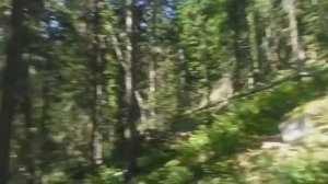 Мегалиты возле горы Куйлюм 08.08.2020г Часть1 (дорога и подъем в гору)