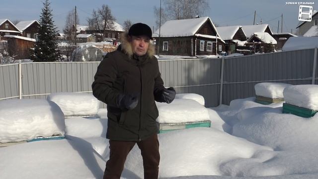 ВАЖНЫЕ РАБОТЫ НА ПАСЕКЕ ВЕСНОЙ! ПОДРОБНЫЙ ПЛАН ДЛЯ НАЧИНАЮЩИХ ПЧЕЛОВОДОВ 22-8