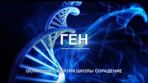 Ген - основные понятия школы Сорадение. Развитие в Соразмерности.
