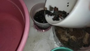 Варю кору. Сосновая кора для орхидей ??♻️???