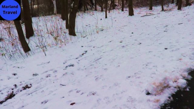 Winter in Salzgitter Germany 2021 ( Snowfall ) #schneedeutschland #germany #marlandtravel смотреть онлайн
