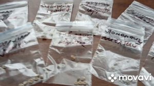 ВНИМАНИЕ!!! ДО 13.03.23 НАБОРЫ СОРТОВЫХ РЕДКИХ ТОМАТОВ + БОНУС // ВАЦАП ДЛЯ ЗАКАЗА 8-915-245-81-59