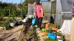 5июня 2022год. Моя любимая дача.